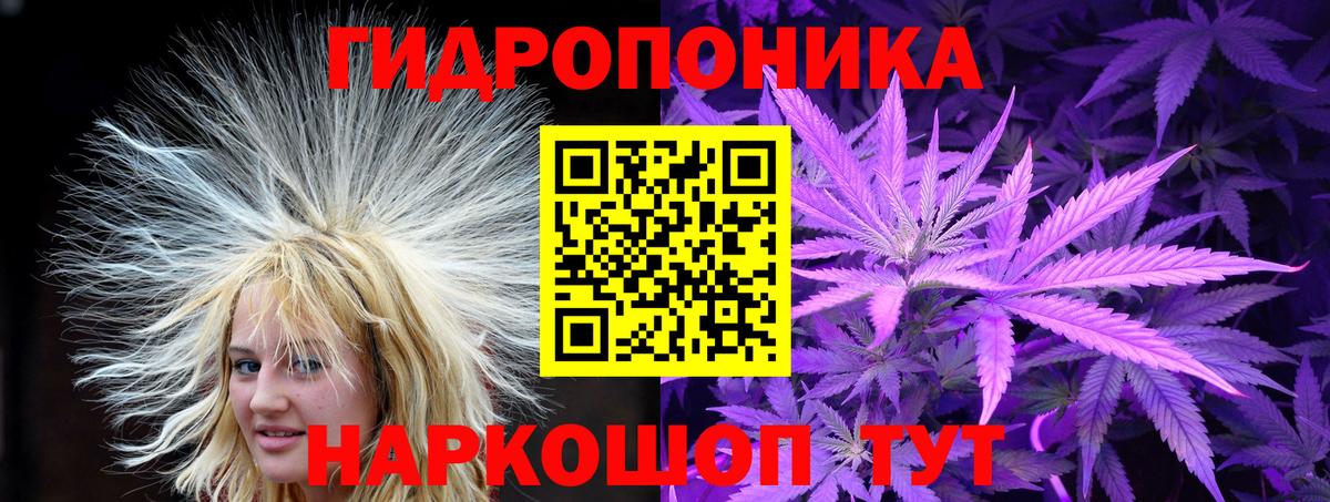 Шишки марихуана марихуана Жигулёвск